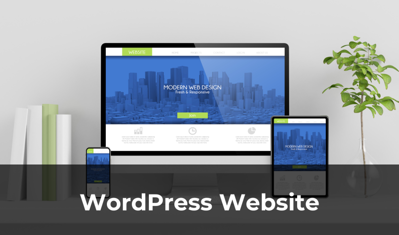 WordPress Websites